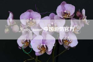 吐鲁番中国消防官方