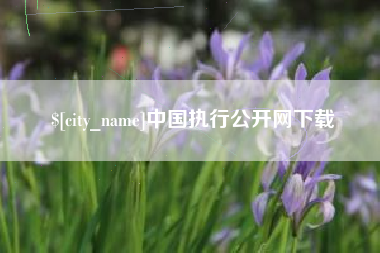 吐鲁番中国执行公开网下载