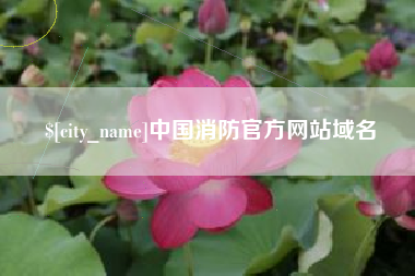 吐鲁番中国消防官方网站域名