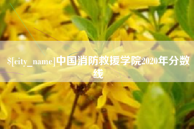 吐鲁番中国消防救援学院2020年分数线
