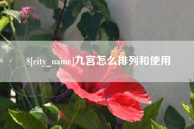 吐鲁番九宫怎么排列和使用