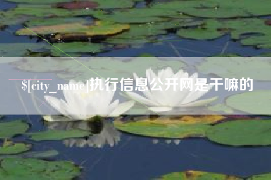 吐鲁番执行信息公开网是干嘛的