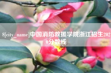 吐鲁番中国消防救援学院浙江招生2020分数线