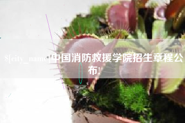 吐鲁番中国消防救援学院招生章程公布!