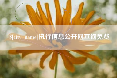吐鲁番执行信息公开网查询免费