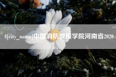 吐鲁番中国消防救援学院河南省2020